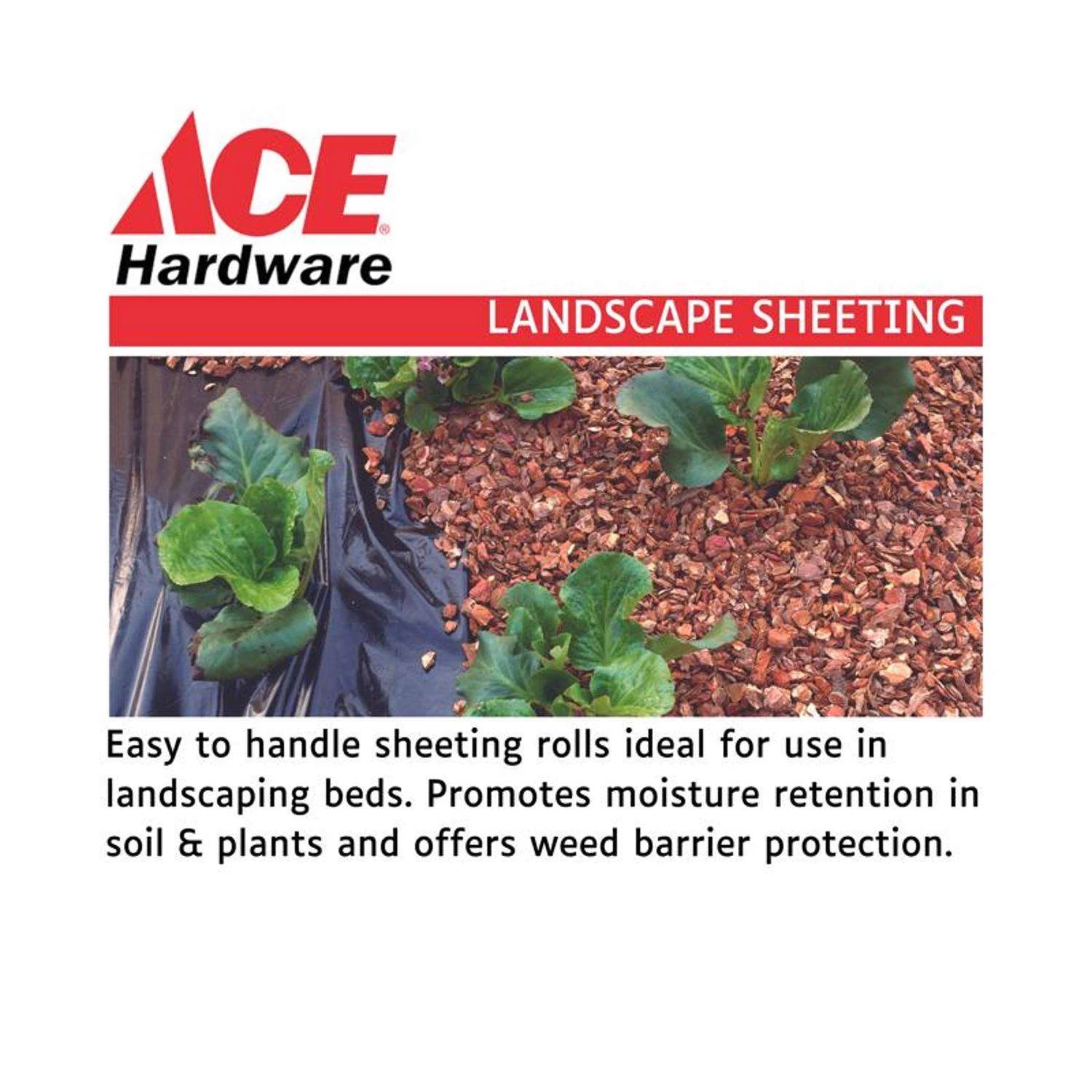 Ace Plastic Sheeting 4 Mil X 20 Ft. W X 25 Ft. L Polyethylene Black - Image 4