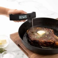 Taylor Digital Cooking Thermometer